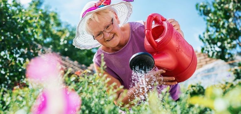 The Health Benefits of Gardening for Seniors