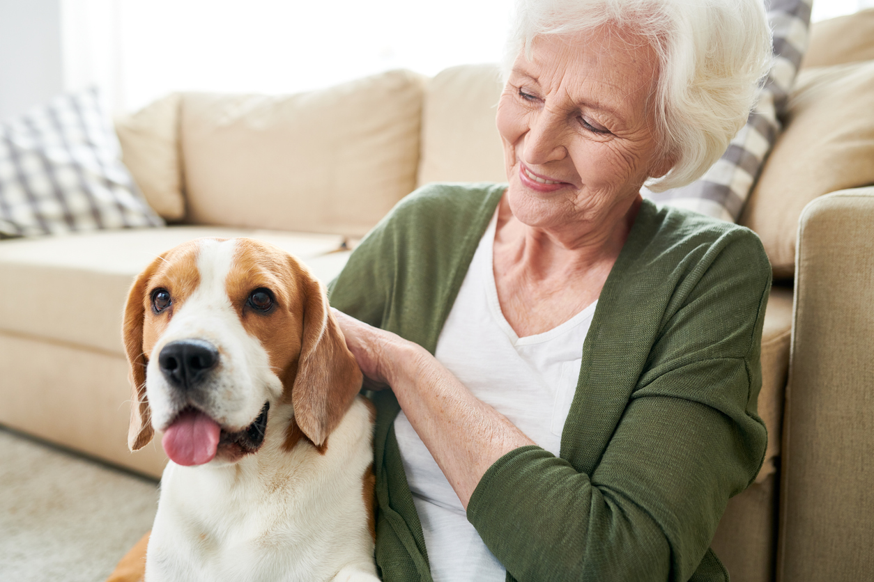 The Health Benefits of Pets for Seniors-456