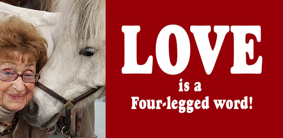Love is a four-legged word at The Arbors!-456
