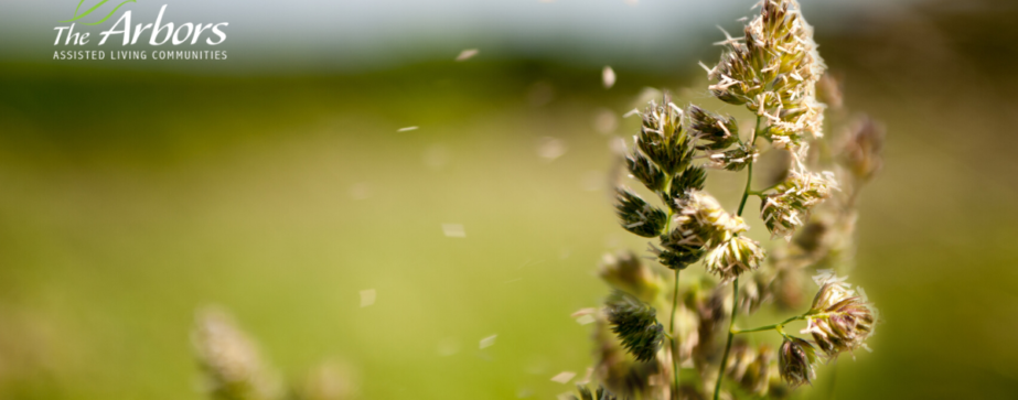 How to Avoid Allergies Without Medication