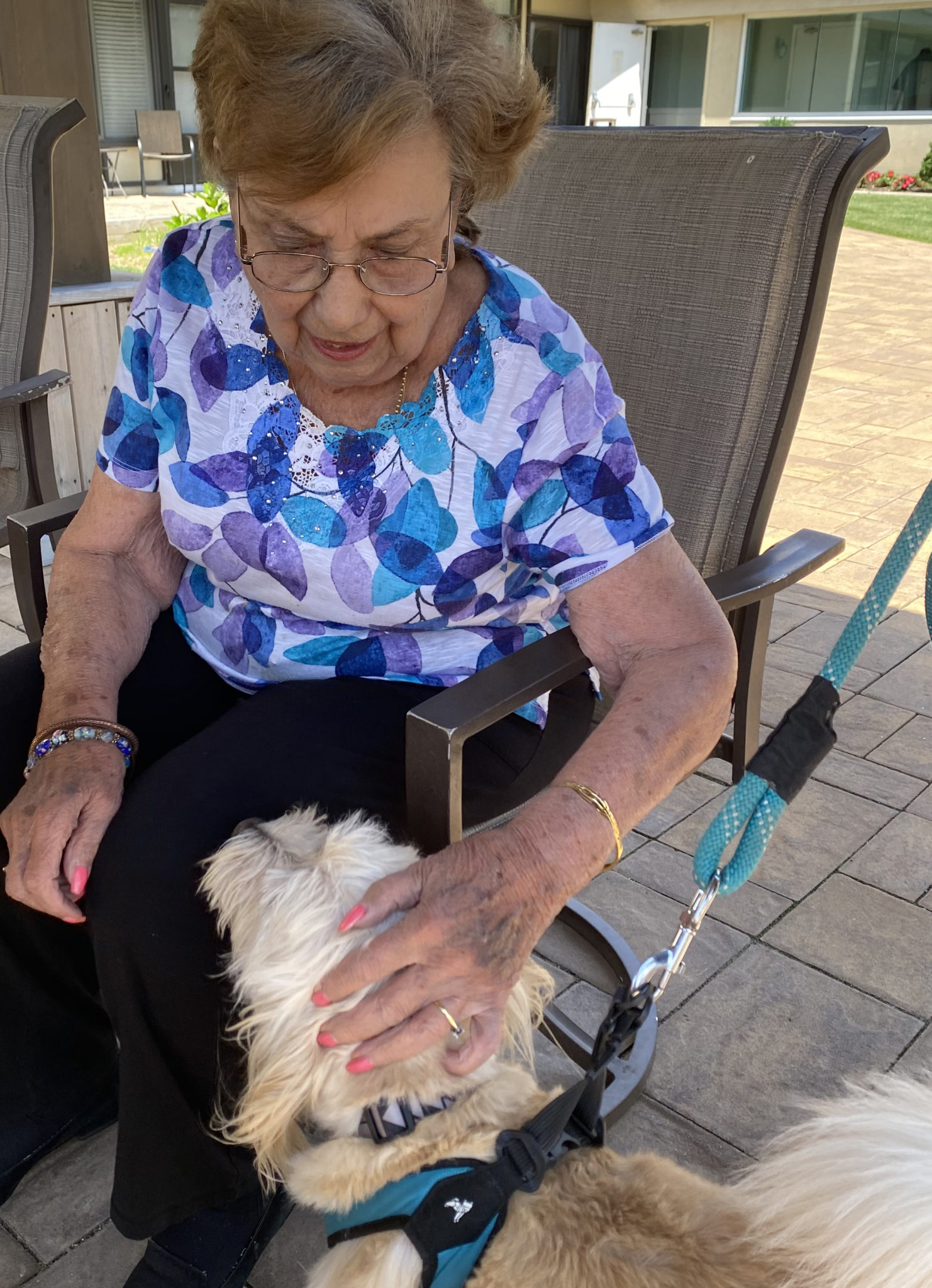 Pet Therapy The Arbors Assisted Living Community