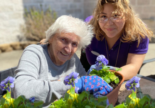 Horticultural Therapy for Those with Dementia